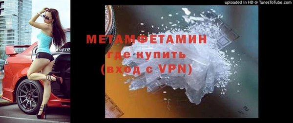 мяу мяу мука Няндома