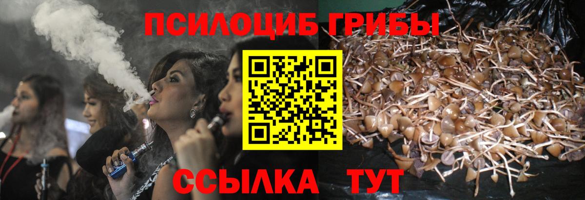 Псилоцибиновые грибы GOLDEN TEACHER Кострома