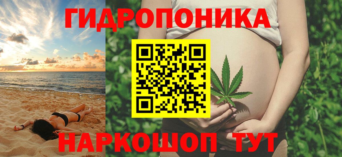 Конопля ГИДРОПОН Кострома